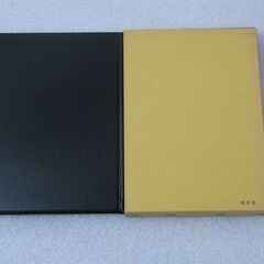 五行十干体用 子平推命実占講義 佐藤六龍①の画像