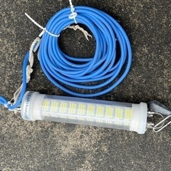 釣り、シラスウナギの画像