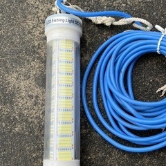 釣り、シラスウナギ