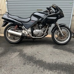ゼルビス250