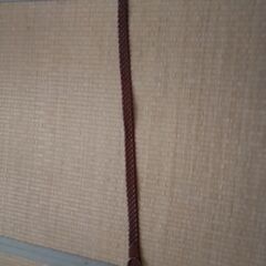 GAPの網ベルトの画像