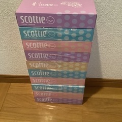20箱、SCOTTIEボックスティッシュ