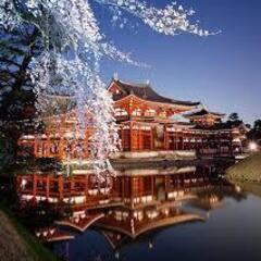 緊急！4月9日（火）京都ライトアップ　募集　「東海平日もカメラ部...