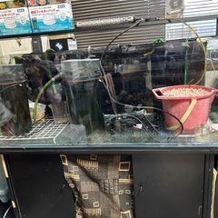 水槽の画像