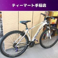 ENDEAVOR VISEO マウンテンバイク 29インチ 8×...