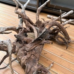 水槽の画像