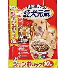 🐶ドッグフードのご協力ご寄付をお願い致します。