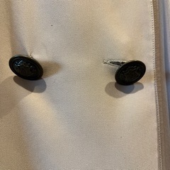 ベージュの長袖ドレスの画像