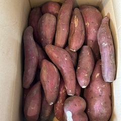 さつまいもシルクスイート　　1箱5kg