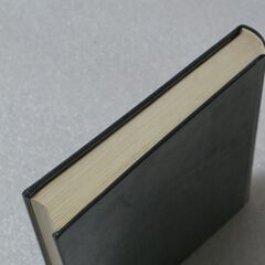 紫薇五術占卜篇 佐藤六龍の画像