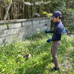木の伐採・草刈り・芝刈りをお任せください！