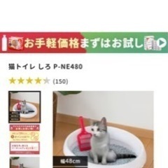猫トイレの画像