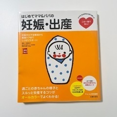 妊娠出産　本
