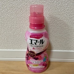 【4月15日まで】エマール 500mlの画像