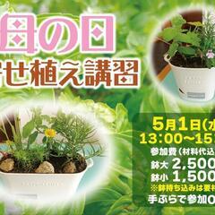 ハーブ寄せ植え体験  八重瀬町