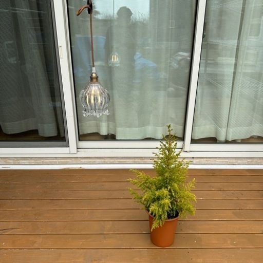 ペンダントライト  フラワータイプ定価19,000円