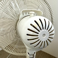 家電 季節、空調家電 扇風機の画像