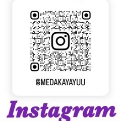 めだか無人販売の画像