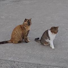 釣りを一緒にしませんか🎣釣りガールさん募集〜