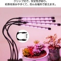 植物育成ライトLEDの画像