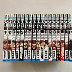 『バキ道』全17巻セット（角力／相撲篇全巻）の画像