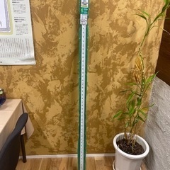 3倍尺のび助 の画像