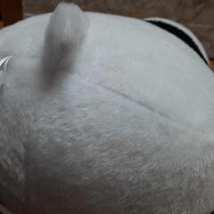 呪術廻戦/BIGパンダ ぬいぐるみの画像