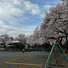 初心者から始められます！ソフトボールは生涯スポーツ - スポーツ