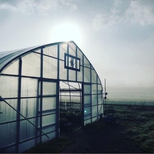 【7月末日で一旦〆切】ビニールハウス／パイプハウス×1棟