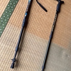 杖