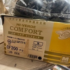 新品　安全靴25cm マジックテープタイプ　　の画像