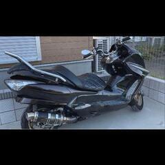 ホンダ フォルツァの画像