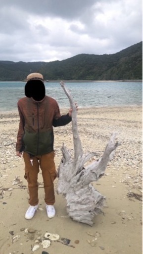 でっかいオシャレ流木