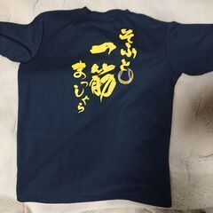 ②Tシャツ　レディース　サイズM　学校の部活で着てた物　ソフトボールイベント柄　MIZUNO　他に靴下、タイツ、ロングストッキング等の画像