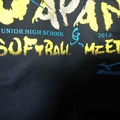 ②Tシャツ　レディース　サイズM　学校の部活で着てた物　ソフトボールイベント柄　MIZUNO　他に靴下、タイツ、ロングストッキング等の画像