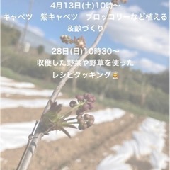 農業体験よろこびファーム🧑‍🌾4月イベント✨の画像
