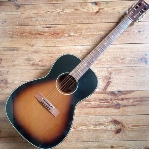 弦楽器、ギター TAKEMINE PTU-406 TBS