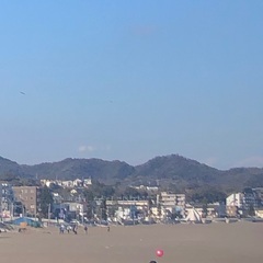 : 三浦半島旅行に付き合ってくれる方 - 友達