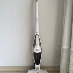 家電 生活家電 掃除機
