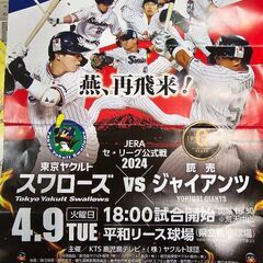 4/9 ヤクルトVS巨人 平和リース球場 チケットの画像