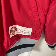 jordan ジョーダン　フーヴンフーディーの画像