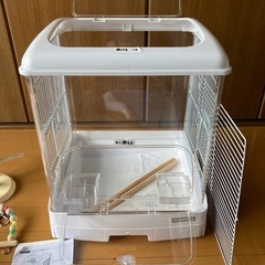 セキセイインコ　飼育セットの画像