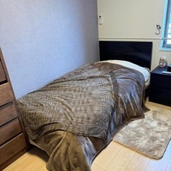 家具 ソファ 1人用ソファ