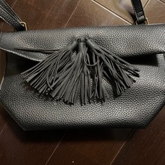 フリンジバックの画像