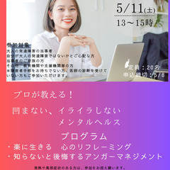 大人の発達障害　プロが教える！凹まない、イライラしないメンタルヘルス