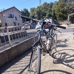 自転車 クロスバイクの画像