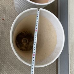 陶器植木鉢2つおまとめ300円の画像