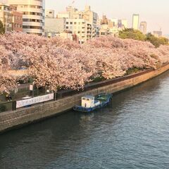 4/13(土)14:30～【70名】大阪お花見！京阪モール最上階よりゆったりとお花見可能(^^♪天満橋 川沿いの桜をご堪能いただけます。の画像