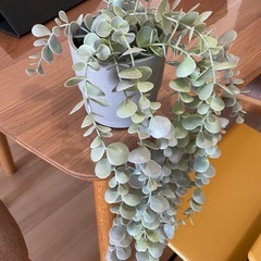 IKEA FEJKA フェイカ イケア 観葉植物