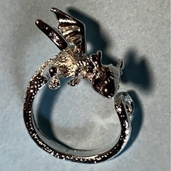 ドラゴンの指輪〈久〉の画像